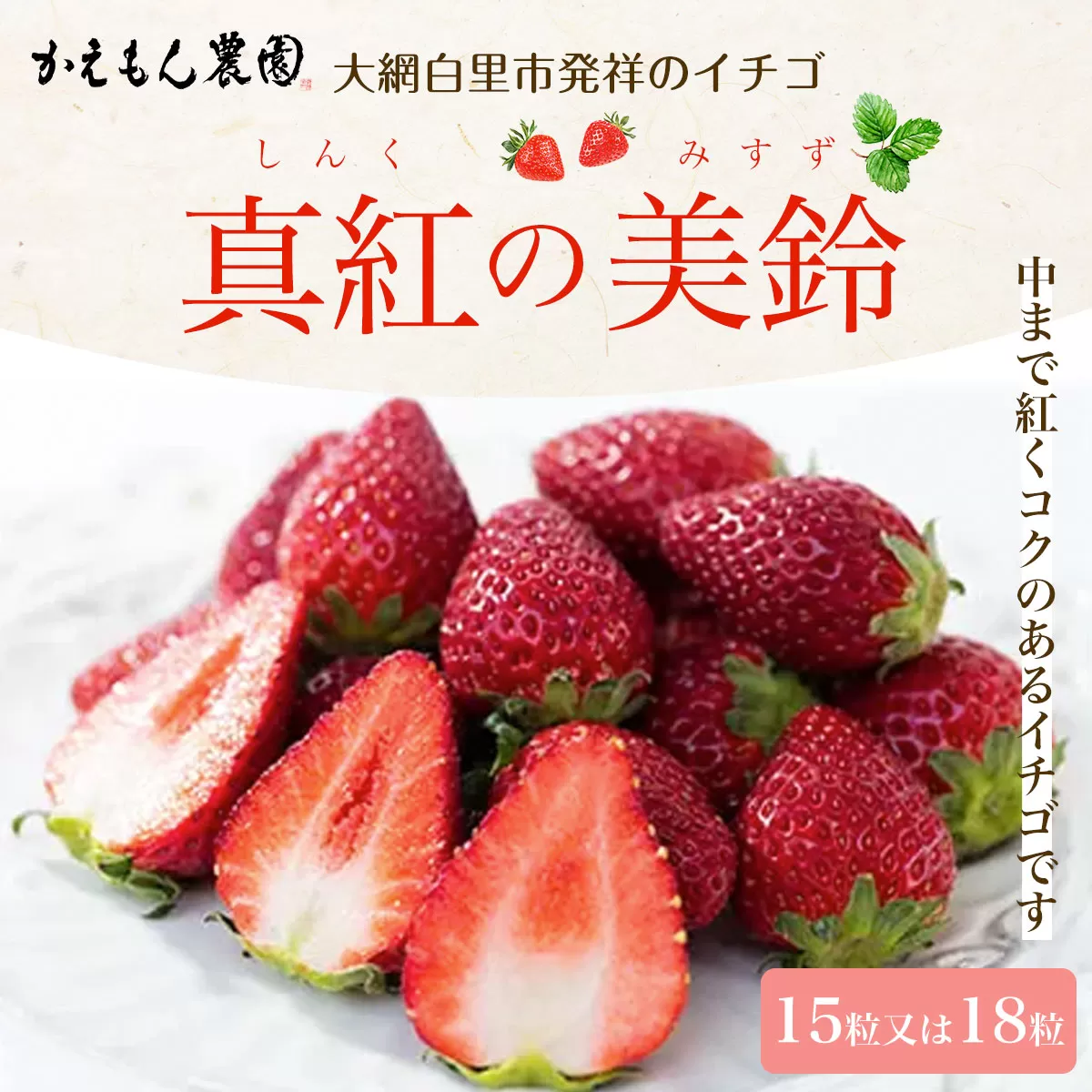 先行予約【2025年12月中旬より順次発送】大網白里市発祥のイチゴ「真紅の美鈴」15粒又は18粒 いちご イチゴ 苺 希少 甘い 深紅 真紅の美鈴 黒いちご 黒イチゴ ギフト 千葉県 大網白里市 思いやり型返礼品 M005