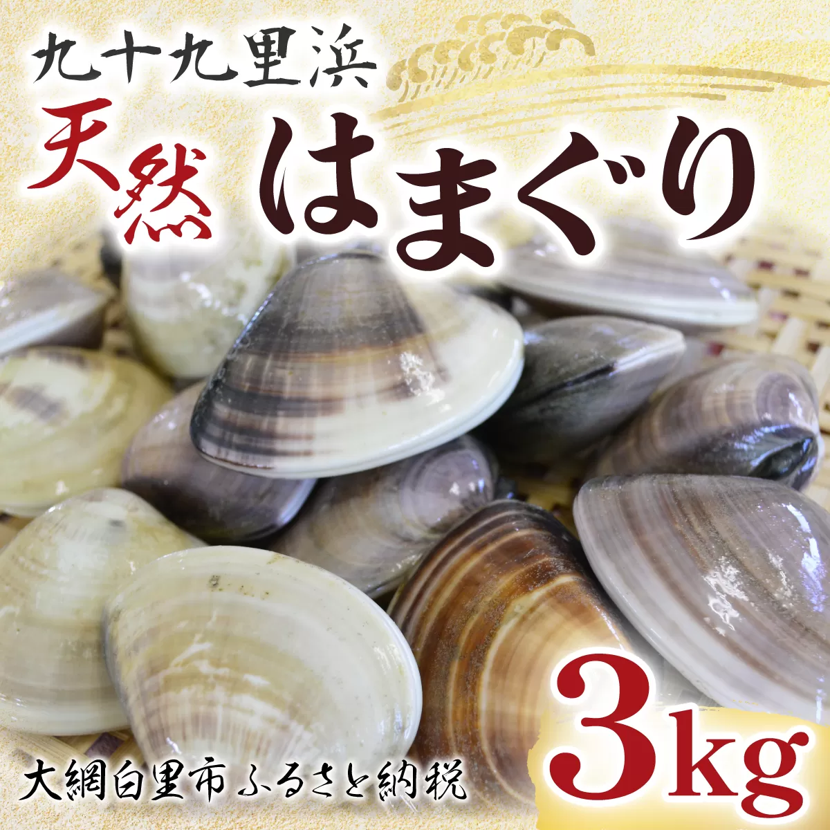 九十九里浜　天然はまぐり　3kg【厳選】 P002