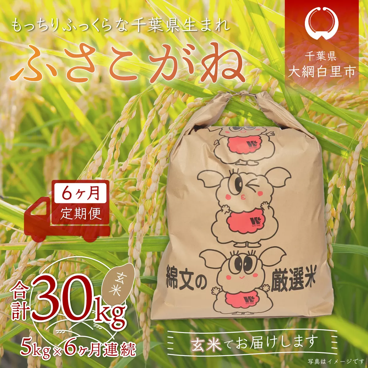 ＜6ヶ月定期便＞千葉県産「ふさこがね」玄米5kg×6ヶ月連続 計30kg A017
