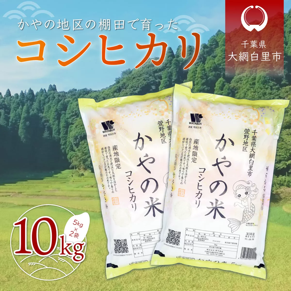 令和6年産 千葉県大網白里市萱野地区産「コシヒカリ」10kg（5kg×2袋） A001