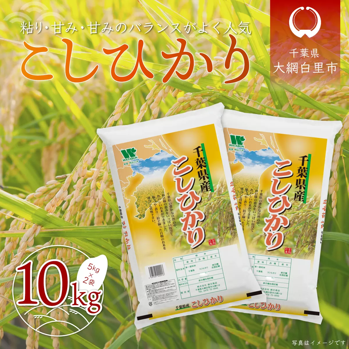 令和6年産 千葉県産「コシヒカリ」10kg（5kg×2袋） A011