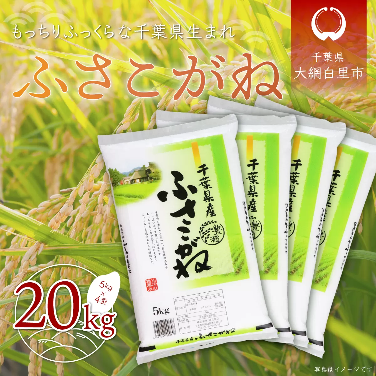 令和6年産  千葉県産「ふさこがね」20kg（5kg×4袋） A005