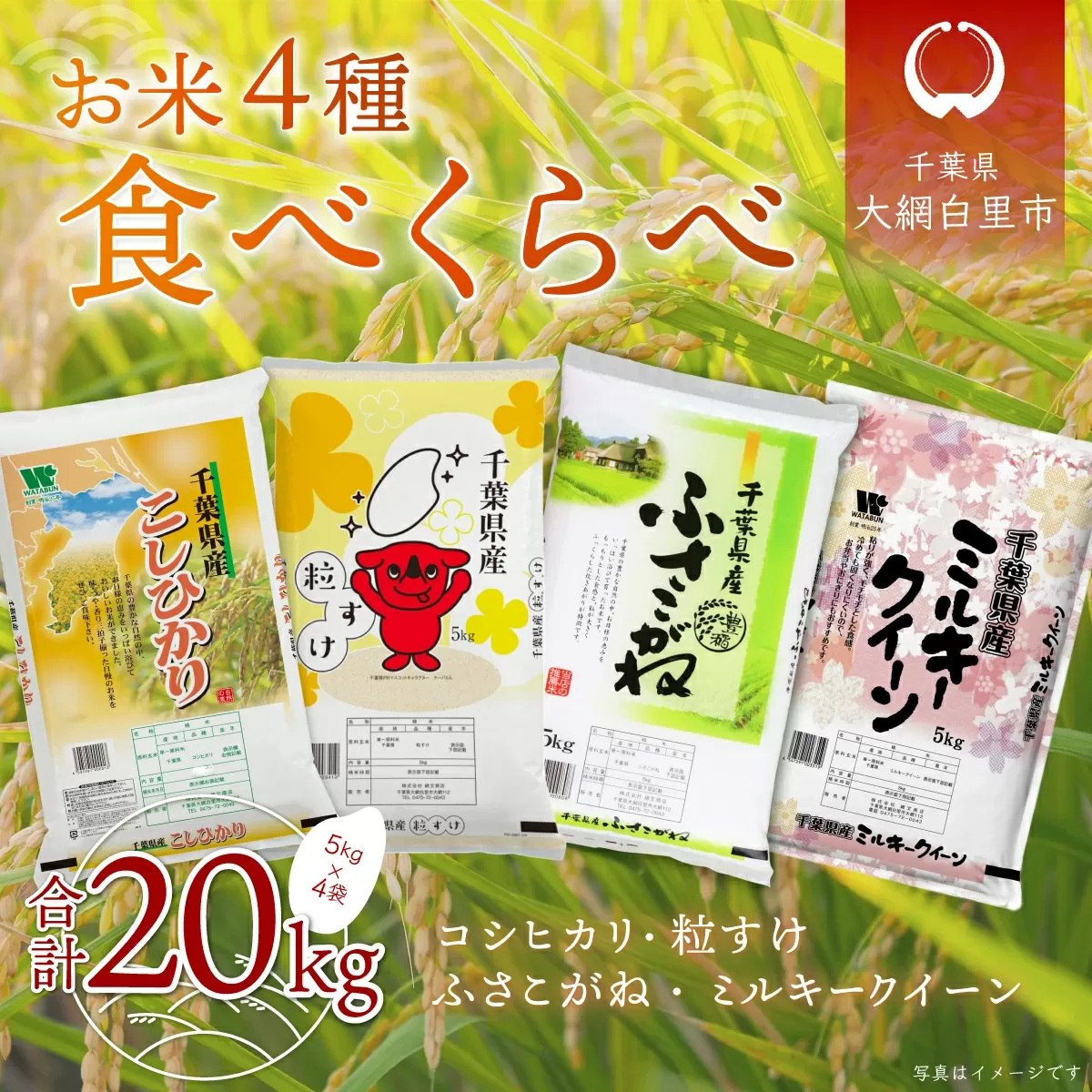 令和6年産 お米4種食べくらべ 20kg（コシヒカリ、粒すけ、ふさこがね、ミルキークイーン）各種5kg×1袋 A036
