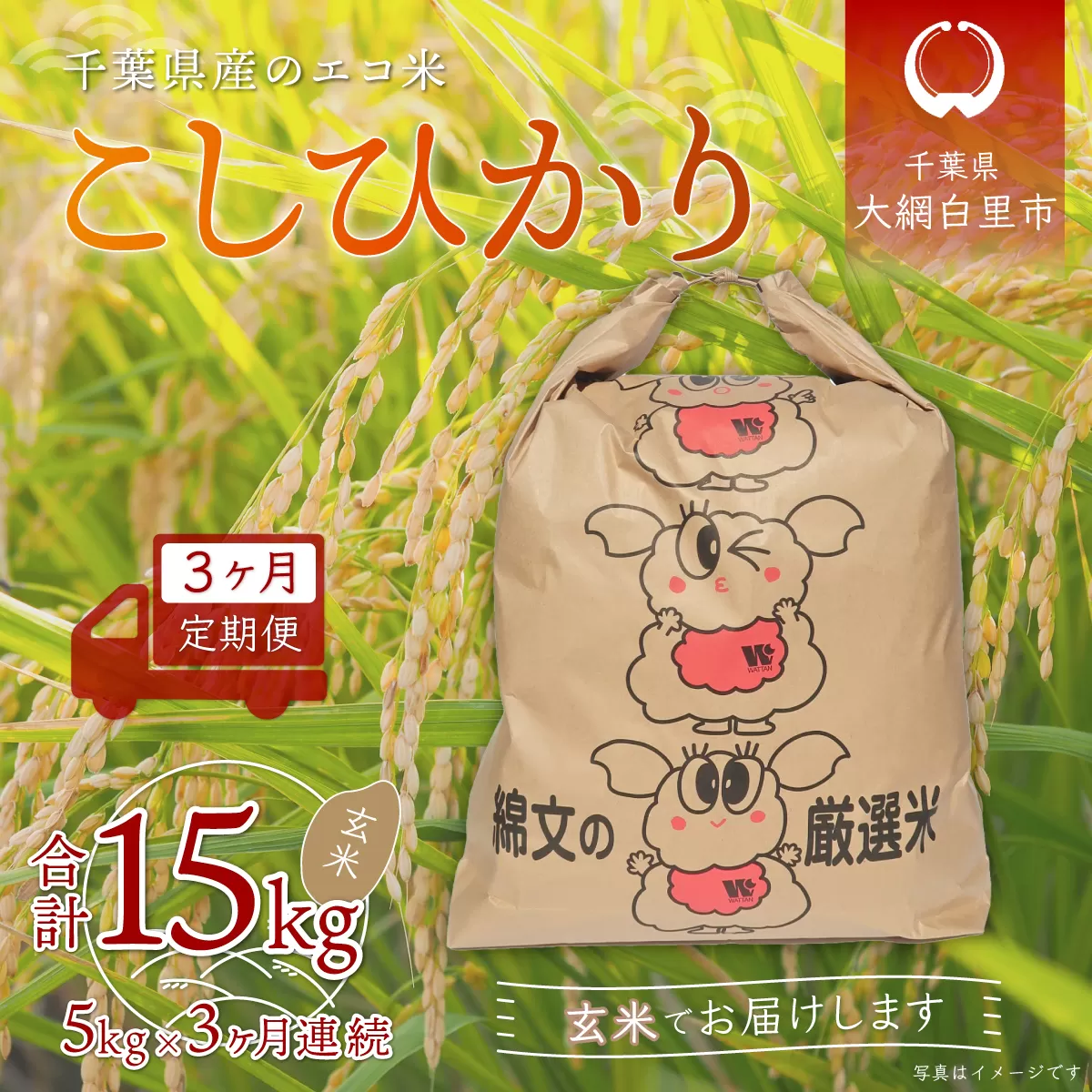 ＜3ヶ月定期便＞千葉県産エコ米「コシヒカリ」玄米5kg×3ヶ月連続 計15kg A018