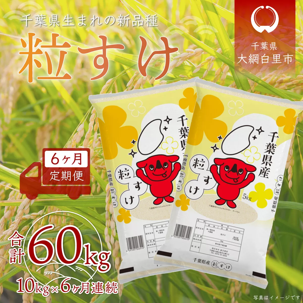 ＜6ヶ月定期便＞千葉県産「粒すけ」10kg×6ヶ月連続 計60kg A032