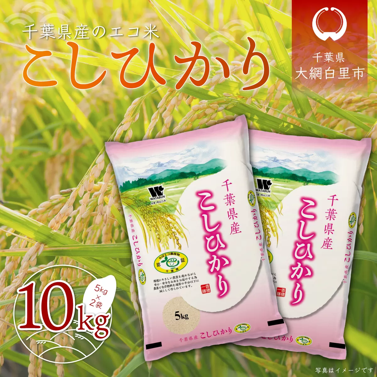 令和6年産 千葉県産エコ米「コシヒカリ」10kg（5kg×2袋） A002