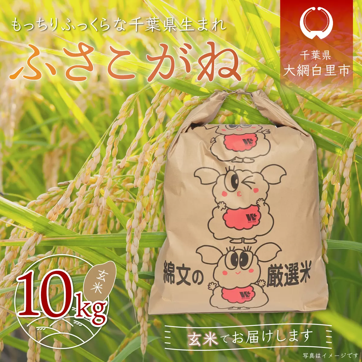令和6年産  千葉県産「ふさこがね」玄米10kg（10kg×1袋） A012