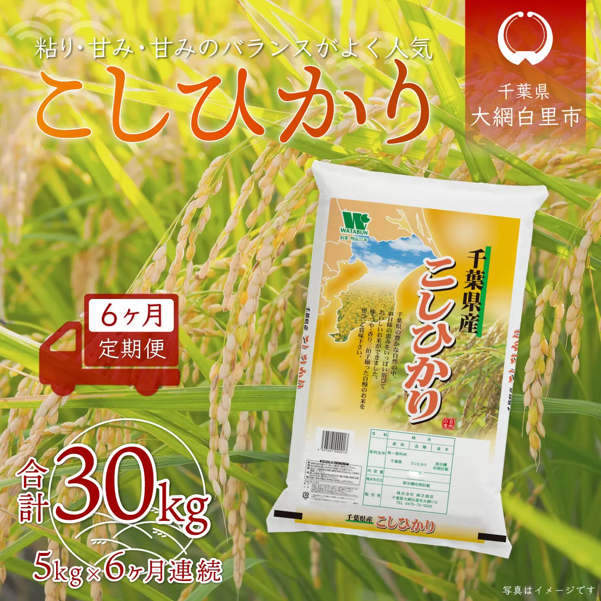 ＜6ヶ月定期便＞千葉県産「コシヒカリ」5kg×6ヶ月連続 計30kg A026