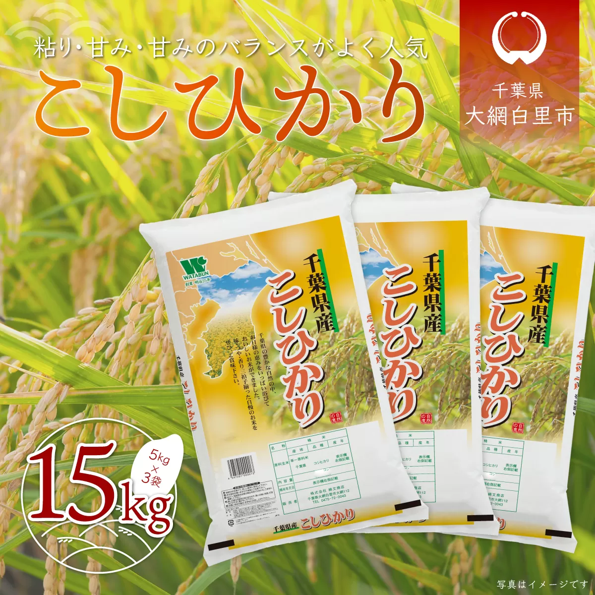 令和6年産 千葉県産「コシヒカリ」15kg（5kg×3袋） お米 15kg 千葉県産 大網白里市 コシヒカリ 米 精米 こめ 送料無料 A049