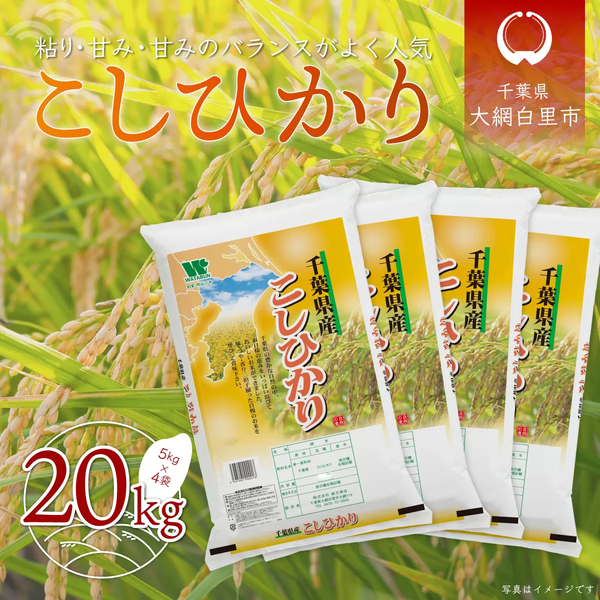 令和6年産 千葉県産「コシヒカリ」20kg（5kg×4袋） A024