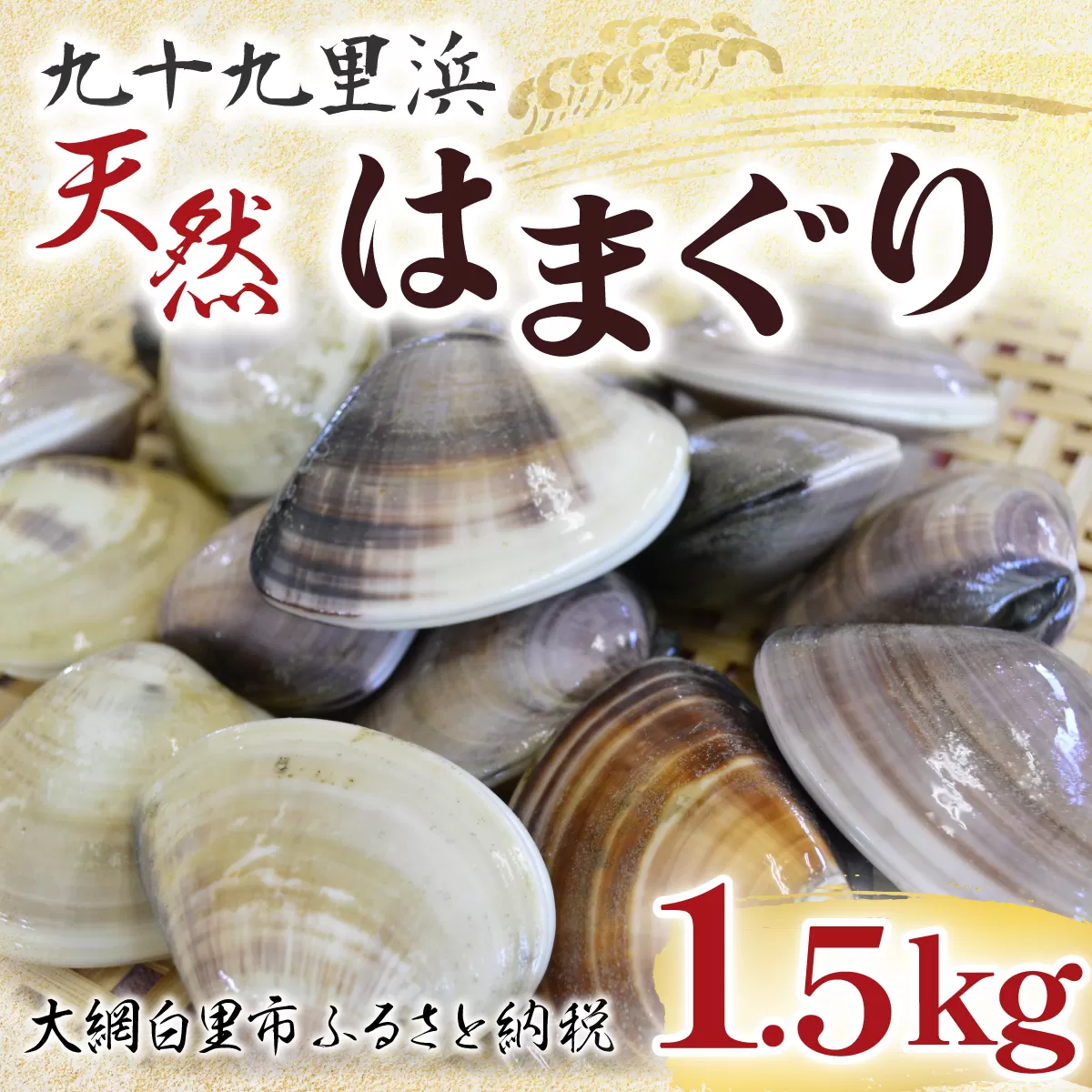 九十九里浜　天然はまぐり　1.5kg【厳選】P007