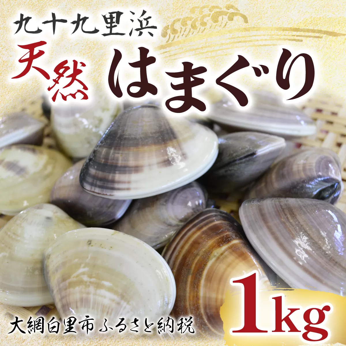 九十九里浜　天然はまぐり　1kg【厳選】P001