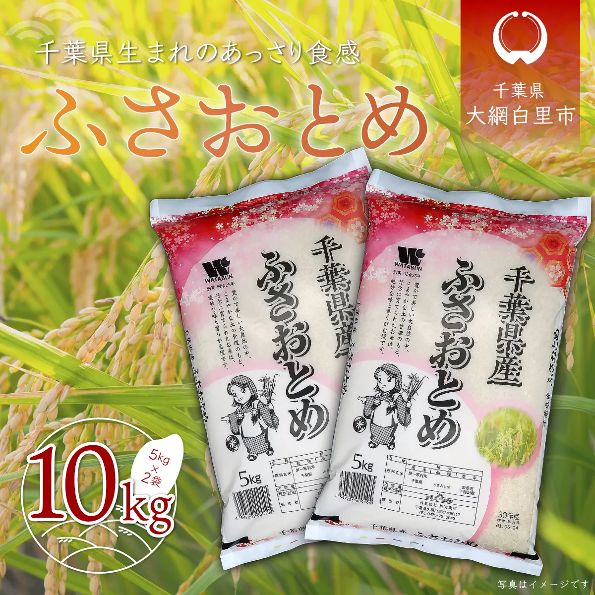 令和6年産 千葉県産「ふさおとめ」10kg（5kg×2袋） A003