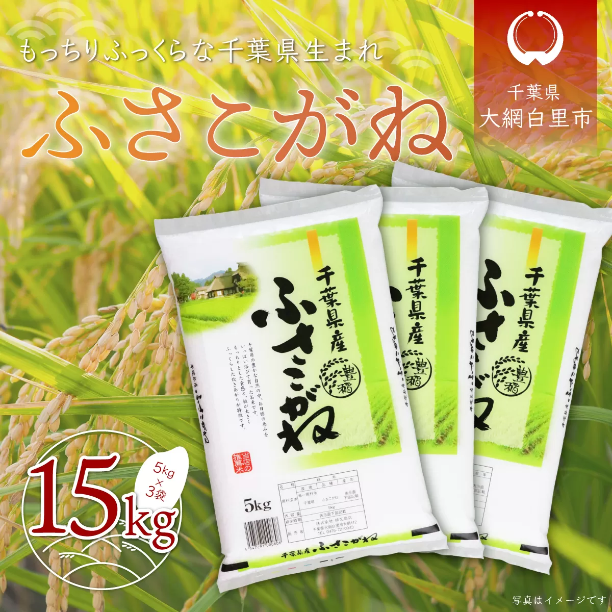 令和6年産 千葉県産「ふさこがね」15kg（5kg×3袋） お米 15kg 千葉県産 大網白里市 ふさこがね 米 精米 こめ 送料無料 A048