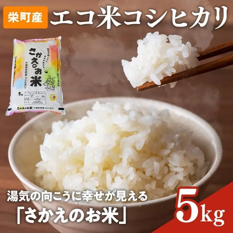 令和8年産米（数量限定）ちばエコ認定米 栄町産 コシヒカリ5kg 長谷川農園｜令和8年産 白米 精米 お米 コメ ごはん お弁当 おにぎり 人気 おすすめ 11-46