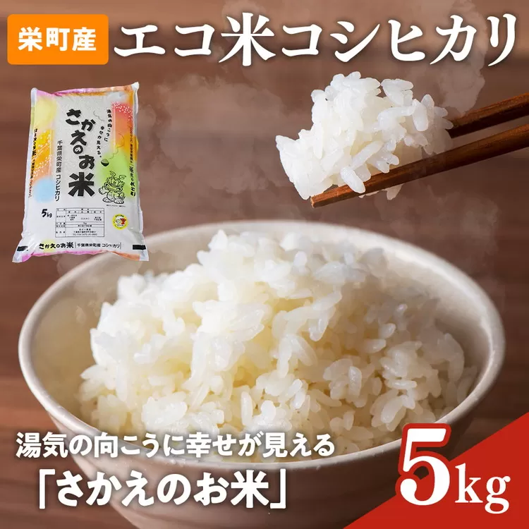 令和7年産米(数量限定)ちばエコ認定米 栄町産 コシヒカリ5kg 長谷川農園|令和7年産 白米 新米 精米 お米 コメ ごはん お弁当 おにぎり 人気 おすすめ ※北海道・沖縄・離島への配送不可 15-46