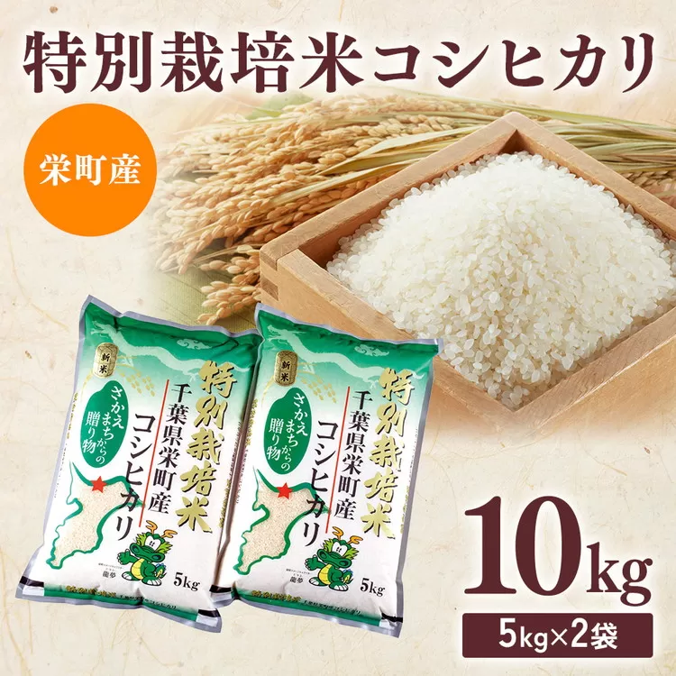 令和7年産米（数量限定）栄町産 特別栽培米 コシヒカリ10kg（5kg袋×2） ちば緑耕舎｜令和7年産 白米 新米 精米 お米 コメ ごはん お弁当 おにぎり 人気 おすすめ ※沖縄・離島への配送不可 ※2025年10月上旬頃より順次発送予定 26-1