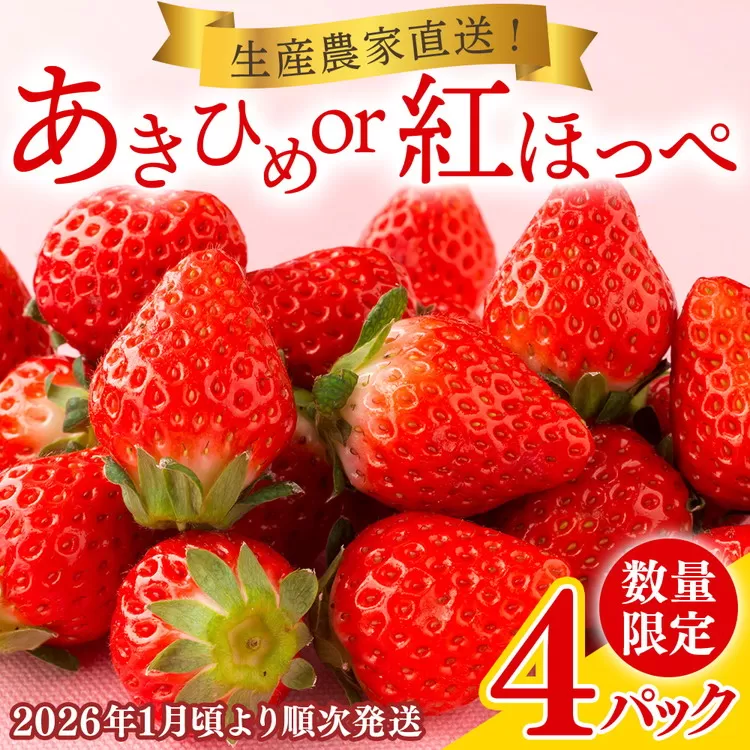 12-7 岡戸農園　いちご（4パック）＊「あきひめ」あるいは「紅ほっぺ」数量限定　※2026年1月頃より順次発送予定　※沖縄・離島への配送不可
