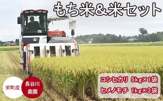 もち米ヒメノモチ3kg（1kg×3袋）+お米 コシヒカリ5kg　長谷川農園　栄町産　ちばエコ認定 | 栄町 ※沖縄・離島への配送不可 ※2025年10月下旬以降順次発送予定 25-5