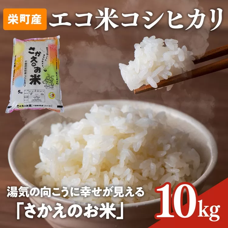 令和7年産米（数量限定）ちばエコ認定米 栄町産 コシヒカリ10kg（5kg袋×2） 長谷川農園｜令和7年産 白米 新米 精米 お米 コメ ごはん お弁当 おにぎり 人気 おすすめ ※沖縄・離島への配送不可 ※2025年10月下旬頃より順次発送予定 26-2