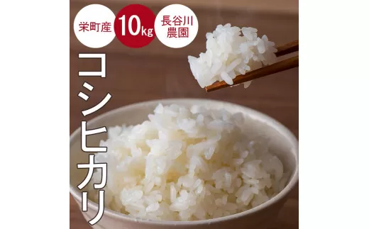 令和7年産米（数量限定）ちばエコ認定米 栄町産 コシヒカリ10kg（5kg袋×2） 長谷川農園｜令和7年産 白米 新米 精米 お米 コメ ごはん お弁当 おにぎり 人気 おすすめ ※沖縄・離島への配送不可 ※2025年10月下旬頃より順次発送予定 26-2