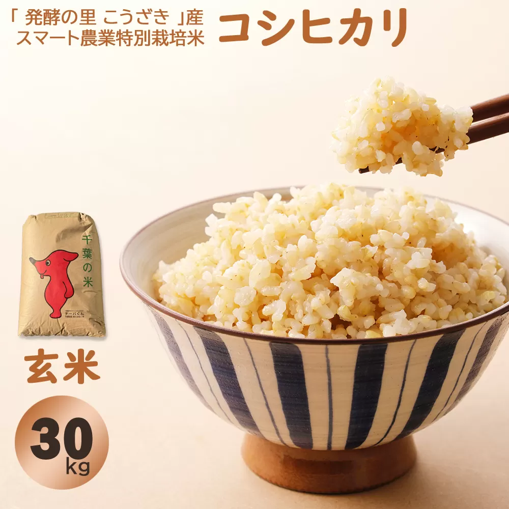 「発酵の里 こうざき」産 スマート農業特別栽培米 コシヒカリ玄米 30kg [018-a003]【千葉県神崎町ふるさと納税】