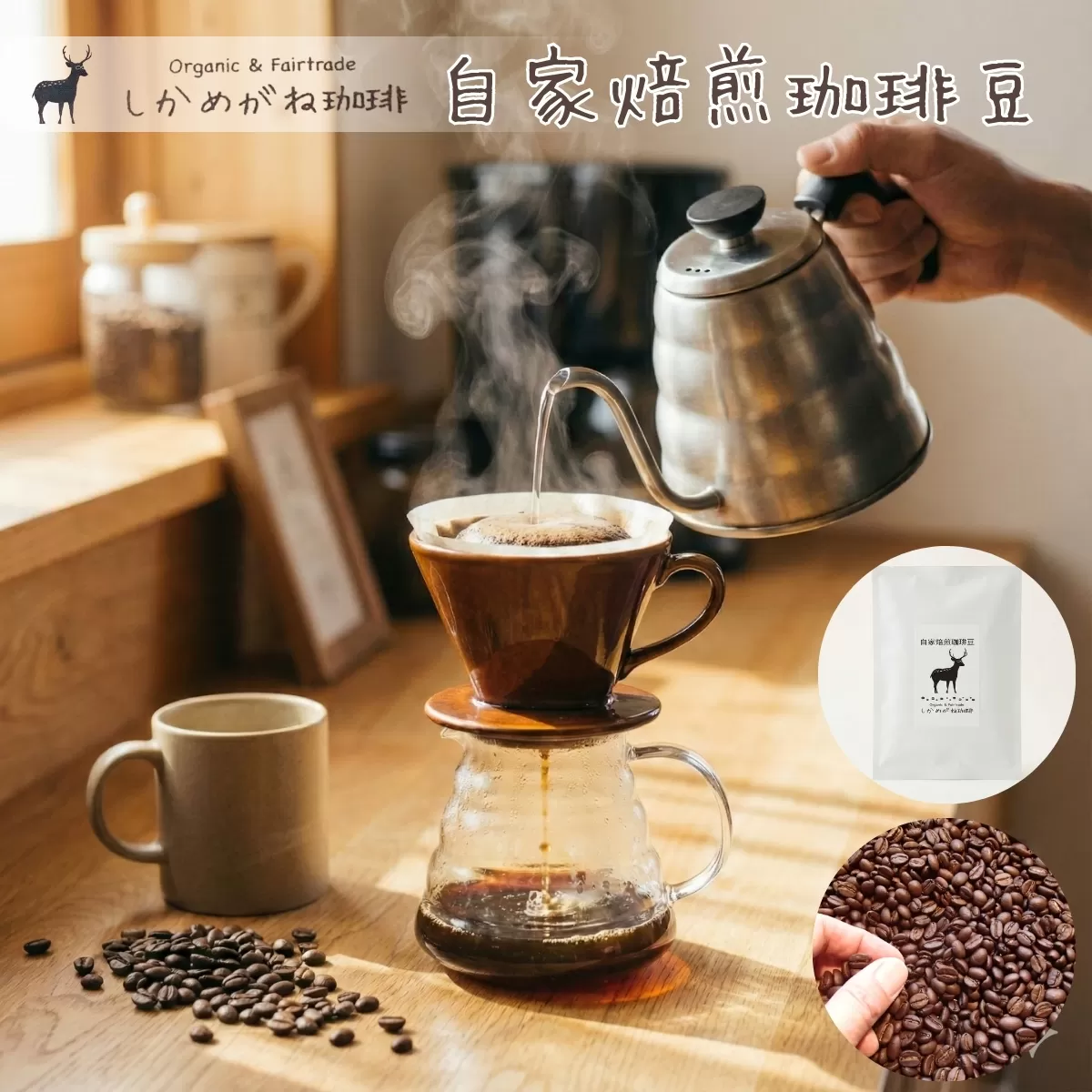 しかめがね 自家焙煎珈琲豆 100g×定期便3回 | コーヒー 豆 焙煎 ドリップ 豆 有機JAS認証 無農薬有機栽培 酸味 苦味 すっきり バランス