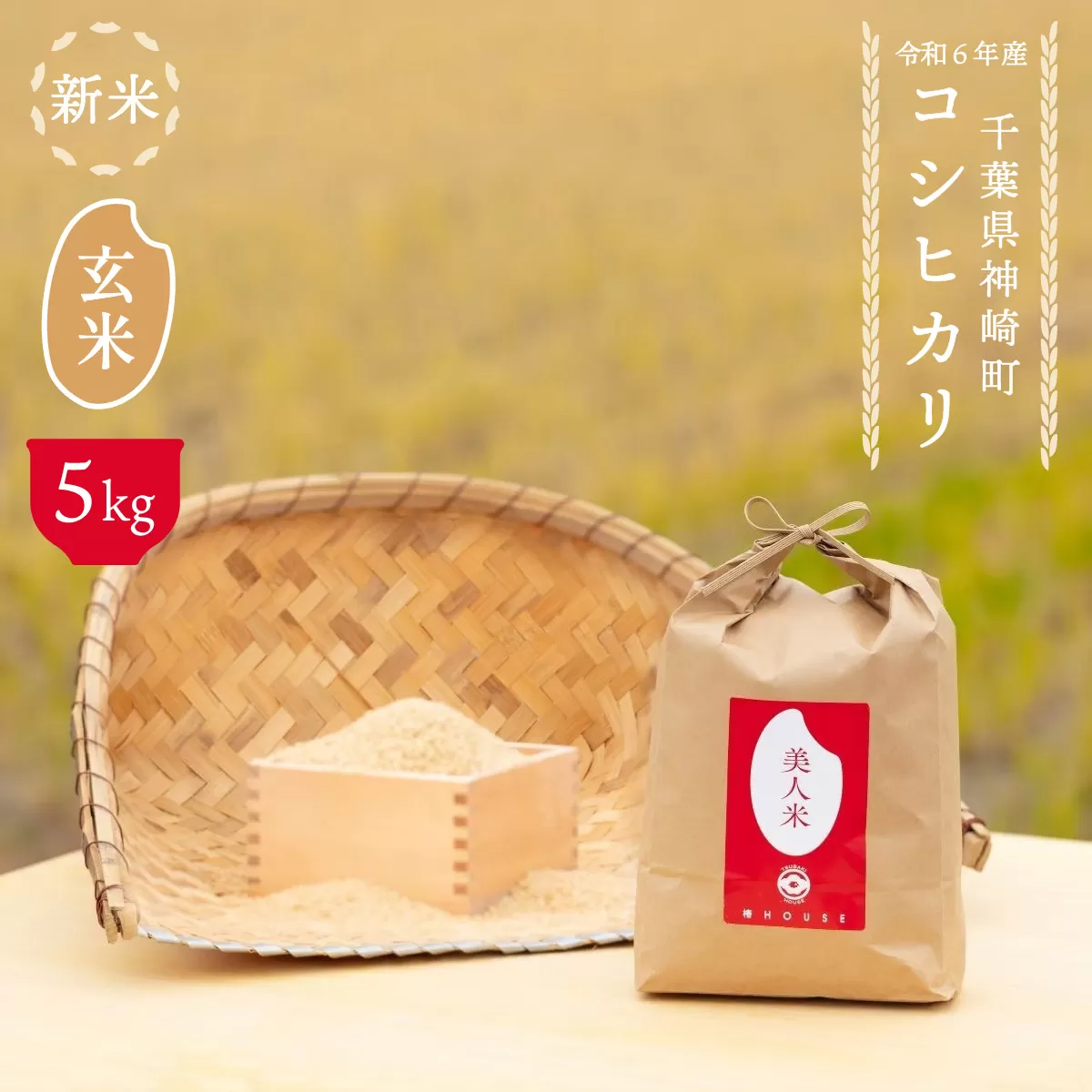 【美人米】玄米5kg  千葉県神崎町産[002-a004]【千葉県 神崎町 ふるさと納税】