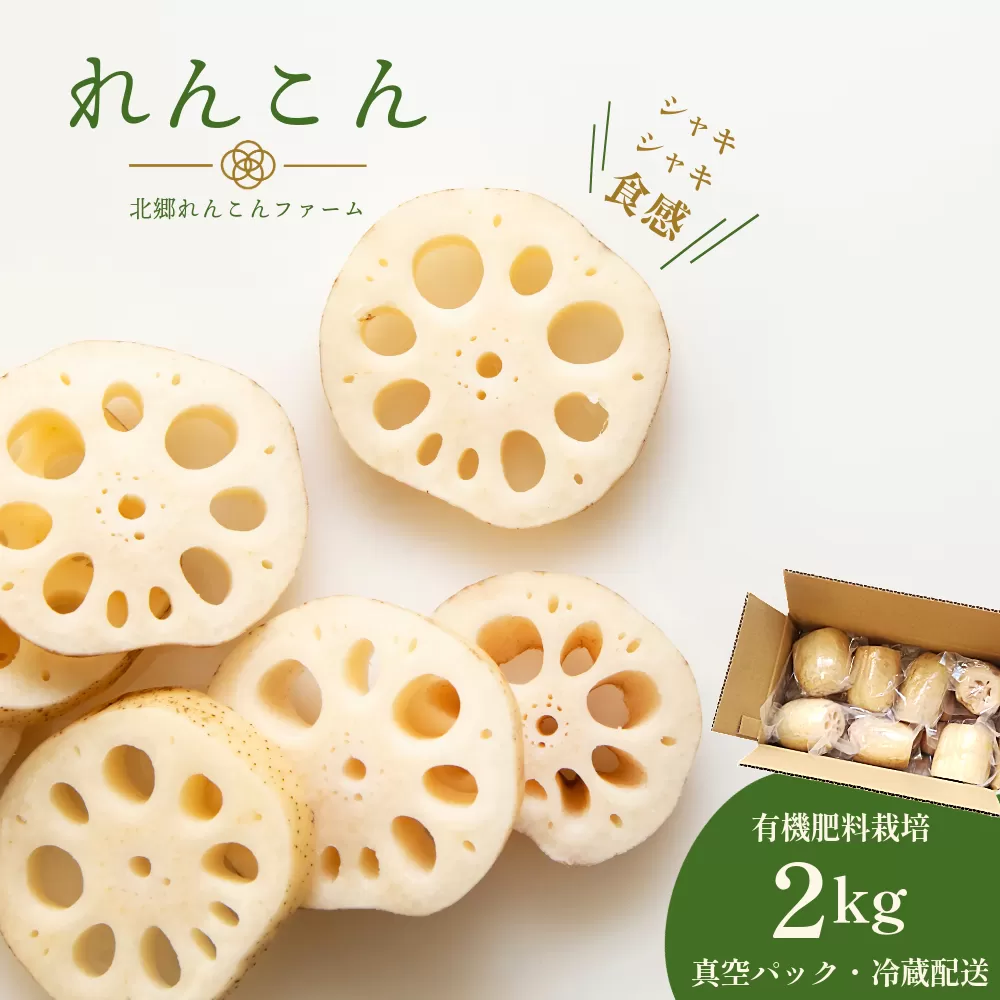 【テレビでも話題】千葉県神崎町産れんこん 2kg有機肥料栽培の甘みとシャキシャキ食感（真空パック・冷蔵配送）（※4月～8月は出荷不可）[022-a001]【千葉県 神崎町 ふるさと納税】