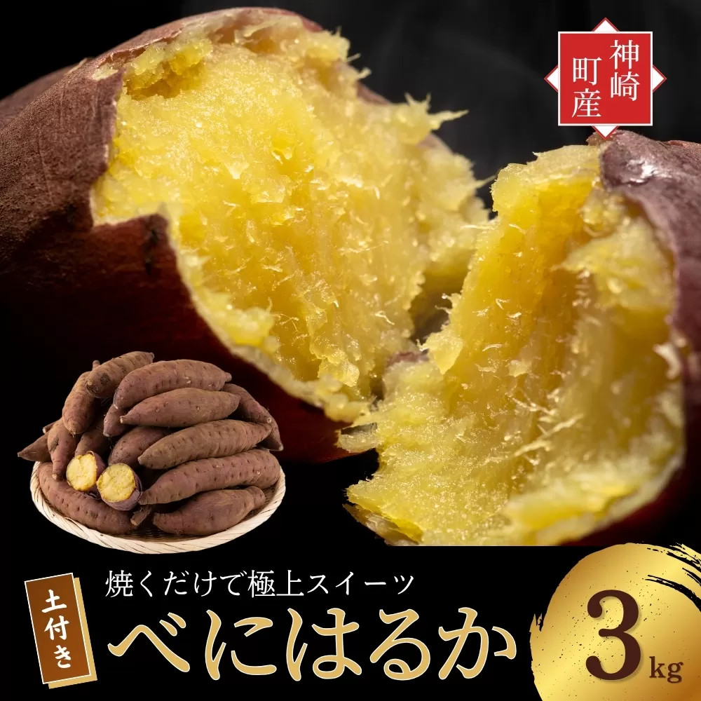 ＜先行予約＞ 神崎町産 べにはるか さつまいも 3kg【土付き・M～Sサイズ混合】(5～12月受付分は翌年1月中旬以降発送)｜さつま芋 焼き芋 焼きいも イモ 芋 紅はるか 訳アリ しっとり 濃厚 蜜 スイートポテト にも ファームおせげん [016-a007]