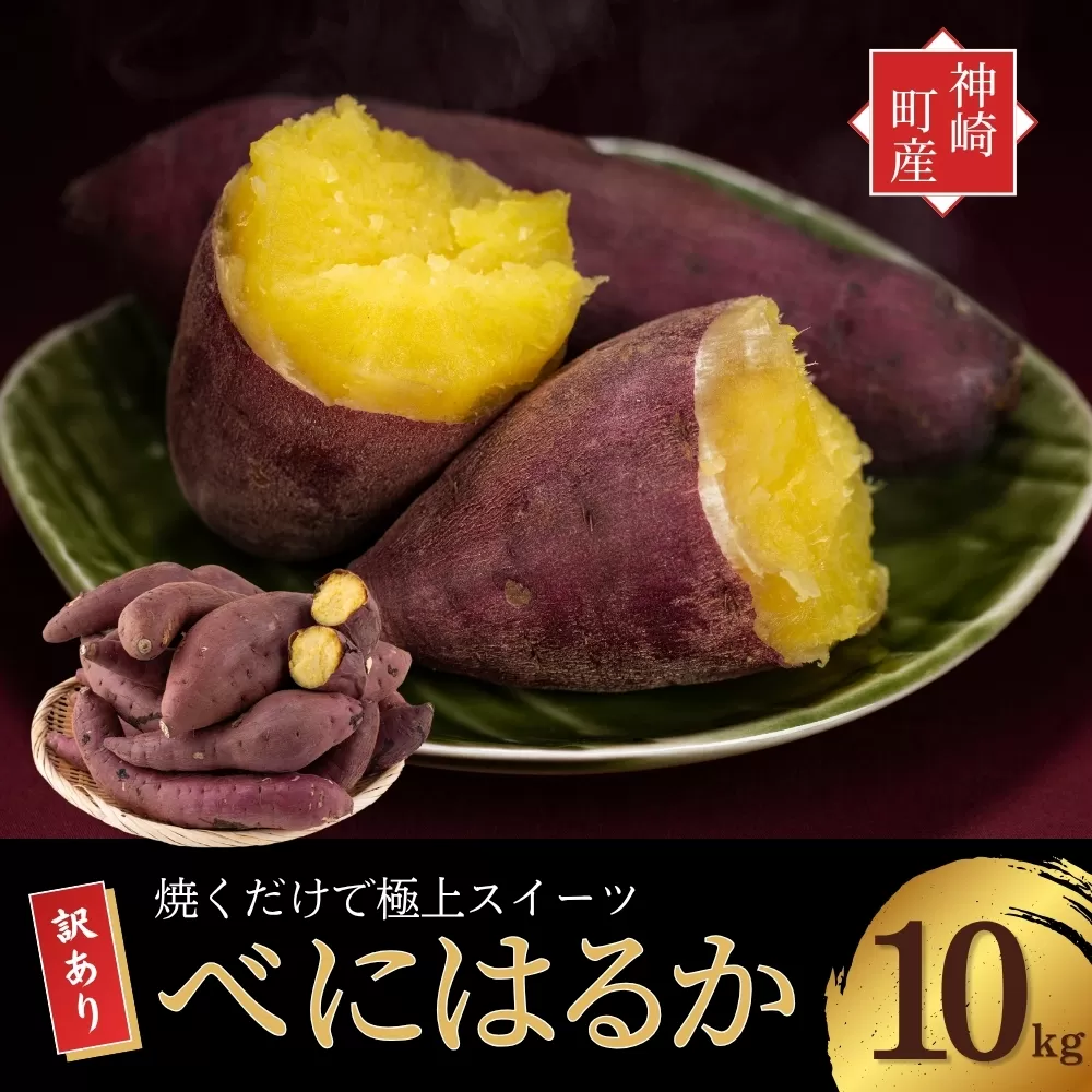＜先行予約＞ 神崎町産 べにはるか さつまいも 10kg 【訳あり 無選別】(5～12月受付分は翌年1月中旬以降発送)｜さつま芋 焼き芋 焼きいも イモ 芋 紅はるか 訳アリ しっとり 濃厚 蜜 スイートポテト にも ファームおせげん[016-a010]