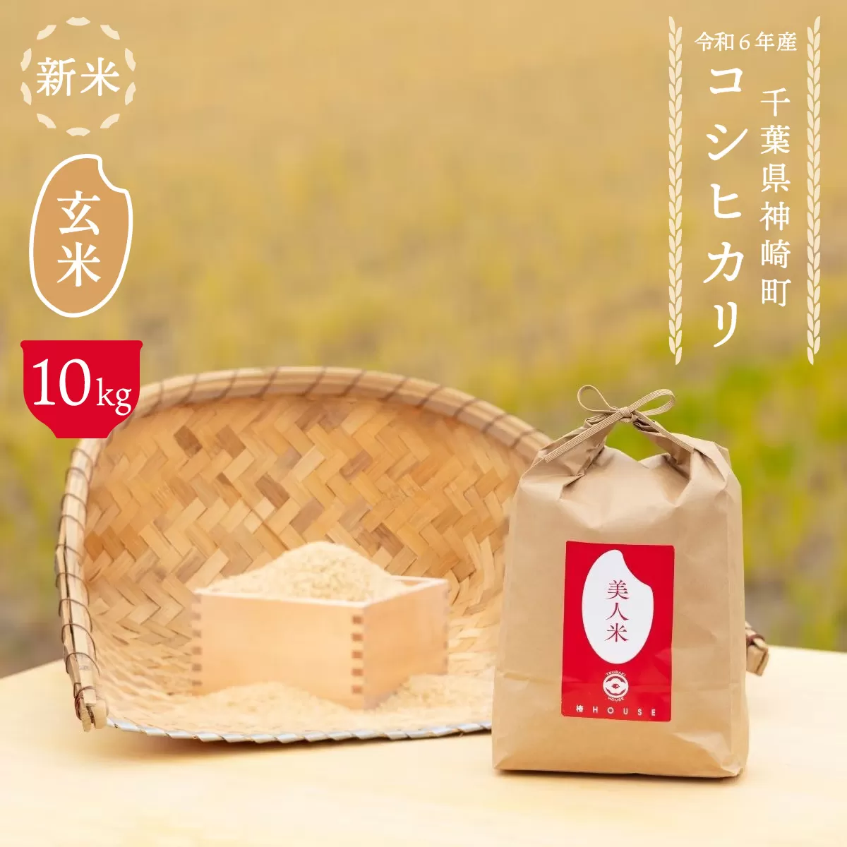 【美人米】玄米10kg  千葉県神崎町産[002-a002]【千葉県 神崎町 ふるさと納税】