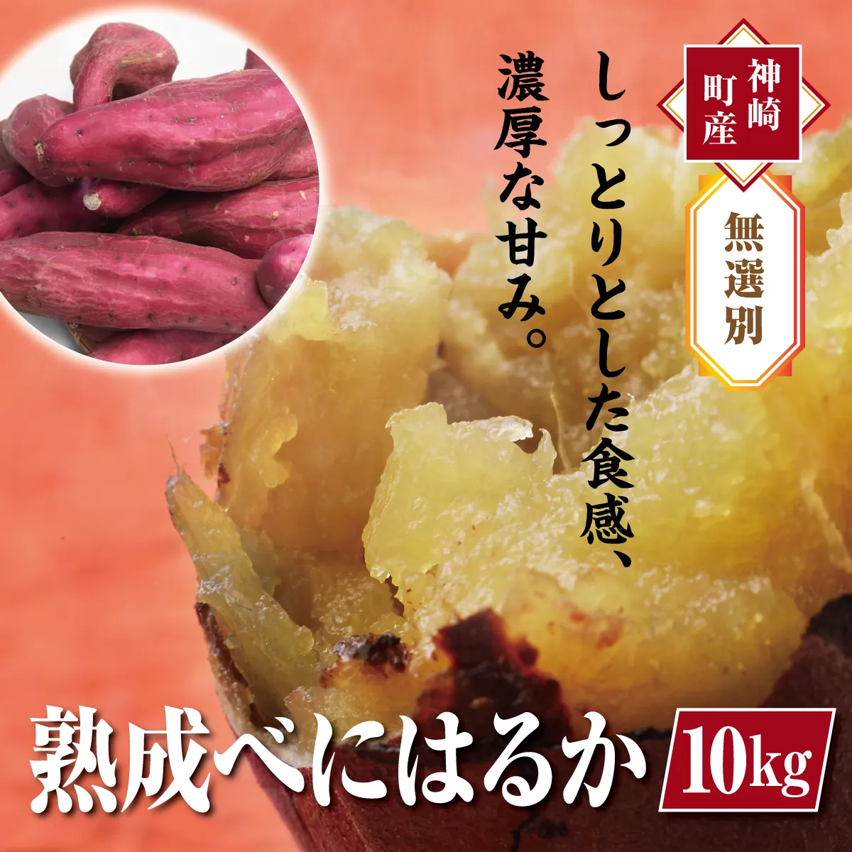 【先行予約・1月中旬以降出荷】神崎町産べにはるか 「さつまいも」無選別 10㎏[016-a010]【千葉県 神崎町 ふるさと納税】