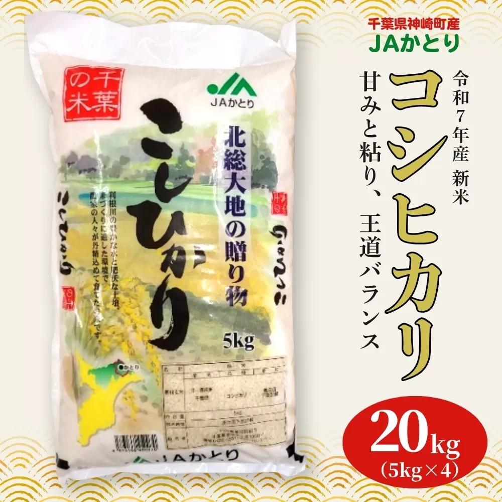 JAかとり直送 新米コシヒカリ 精米20kg（5kg×4）千葉県産 令和7年産 神崎町 [001-a005]【千葉県 神崎町 ふるさと納税】