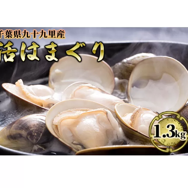 はまぐり 千葉 九十九里産 活はまぐり 1.3kg 貝 海鮮 海産物 海の幸 魚介 魚介類 水産 水産物 はまぐり鍋 バーベキュー BBQ お吸い物 国産 ハマグリ 蛤 産地直送 冷蔵 冷蔵配送 千葉県 九十九里 九十九里町