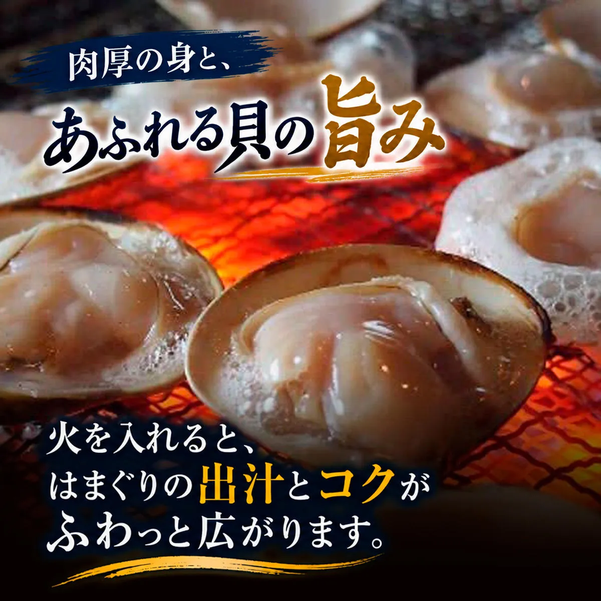 はまぐり 千葉 九十九里産 天然はまぐり 2.5kg 貝 海鮮 海産物 海の幸 魚介 魚介類 水産 水産物 はまぐり鍋 バーベキュー BBQ お吸い物 国産 天然 ハマグリ 蛤 絶品九十九里の”味” 産地直送 冷蔵 冷蔵配送 千葉県 九十九里 九十九里町