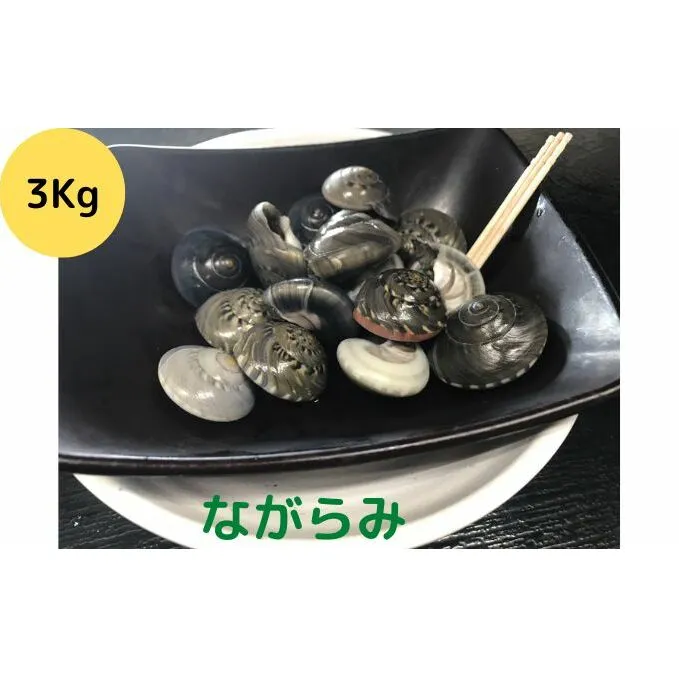 食べたら止まらないやつ九十九里浜の“ながらみ“3kg入り 海鮮 魚介類 魚貝類 貝 酒の肴 おつまみ 