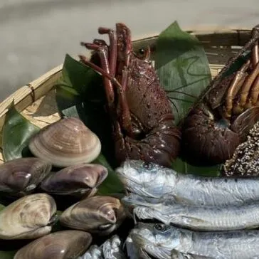 漁師が選ぶ豪華海鮮網焼きセット"伊勢海老付き” 魚貝類魚介類 海の幸 浜焼き イセエビ 蛤 はまぐり イワシ 産地直送 