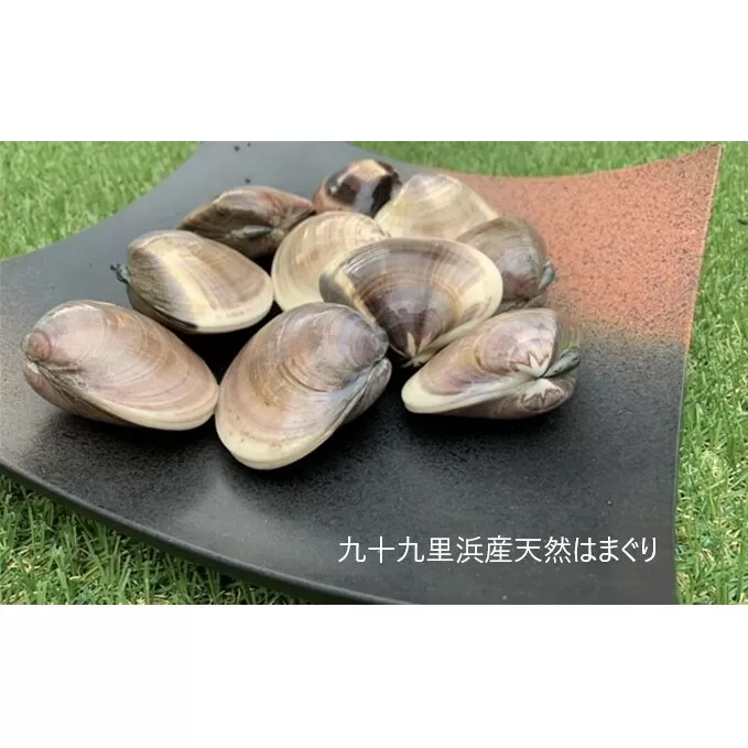 はまぐり 定期便 12ヶ月 九十九里産 天然はまぐり 1.5kg ご注文時お勧めサイズお任せ セット 貝 海鮮 海産物 海の幸 魚介 魚介類 水産 水産物 国産 天然 地元漁師が厳選 産地直送 冷蔵 冷蔵配送 千葉 千葉県 九十九里 定期 お楽しみ 12回