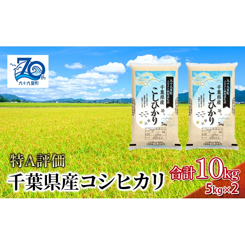 米 千葉県産コシヒカリ5kg×2 こしひかり セット お米 特A評価 精米 ふっくら もっちり 粘り気 旨み 香り ツヤ やわらかい 歯ごたえ 九十九里町 千葉県