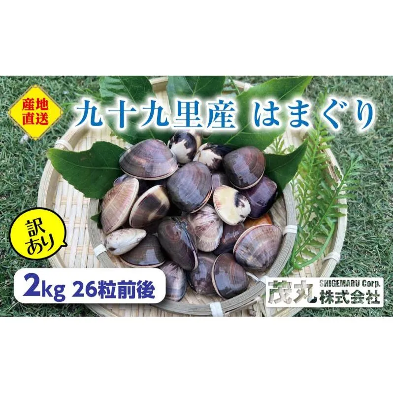 訳あり はまぐり 2kg 割れ 砂抜き無し SDGs ハマグリ 蛤 海鮮 魚介 海産物 国産 天然 産地直送 千葉県 九十九里