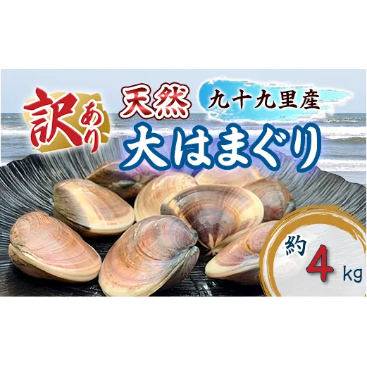訳あり はまぐり 規格外 大はまぐり 10パック 計 4kg 貝 海鮮 魚介 海の幸 ハマグリ 蛤 海産物 国産 天然 産地直送 千葉県 九十九里 九十九里浜