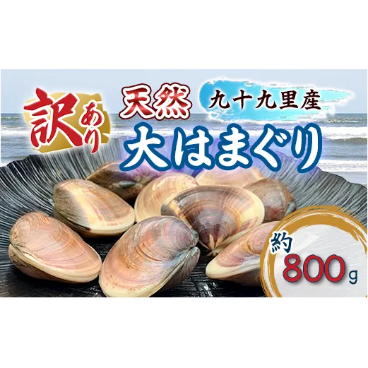 訳あり はまぐり 規格外 大はまぐり 2パック 計 800g 貝 海鮮 魚介 海の幸 ハマグリ 蛤 海産物 国産 天然 産地直送 千葉県 九十九里 九十九里浜