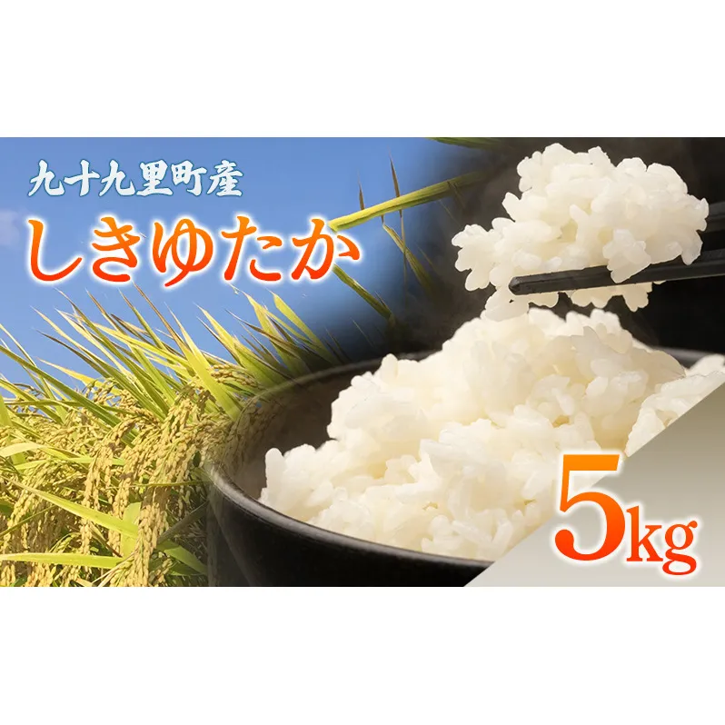 九十九里町産 しきゆたか 5キロ お米 白米 精米 ご飯 こめ コメ おこめ ごはん 千葉 九十九里町