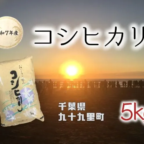 【2026.5楽天注目の寄付額の返礼品特集】お米 千葉県産コシヒカリ5kg 米 コメ 精米 白米 甘い コシヒカリ こしひかり 九十九里町 千葉県