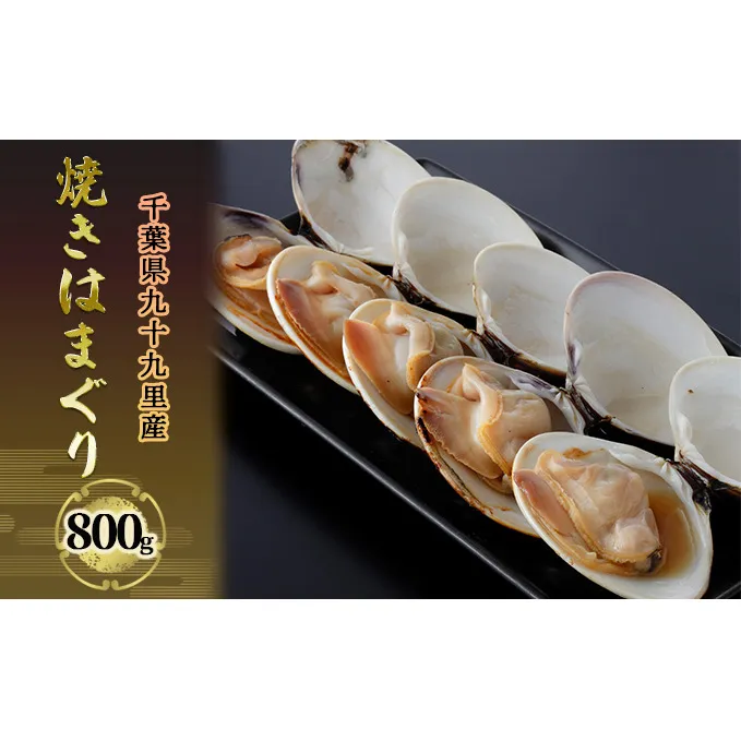 千葉県九十九里産 焼きはまぐり 800g 魚介類 貝類 魚貝類 はまぐり 蛤 