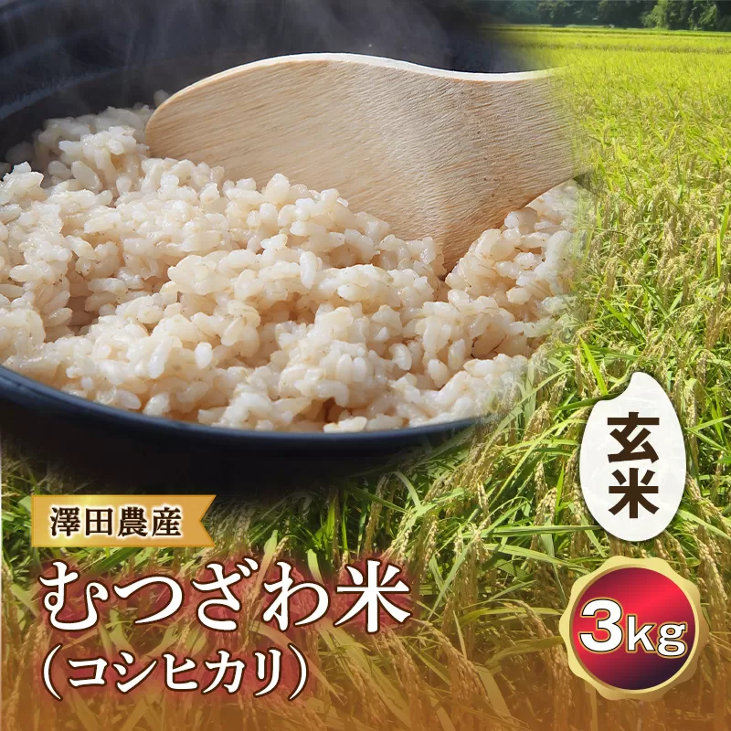 令和5年産米 むつざわ米（コシヒカリ）玄米 3kg 澤田農産 F21G-176