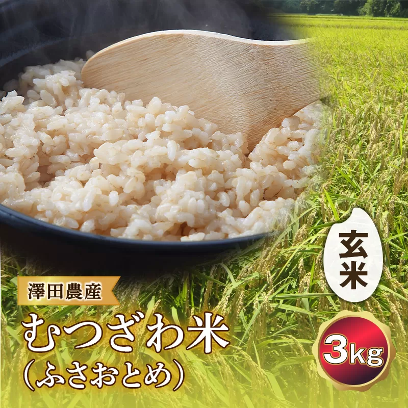 令和5年産米 むつざわ米（ふさおとめ）玄米 3kg 澤田農産 F21G-168
