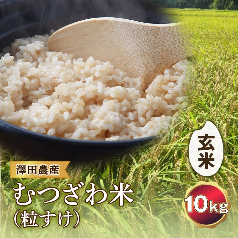令和5年産米 むつざわ米（粒すけ）玄米 10kg 澤田農産 F21G-193