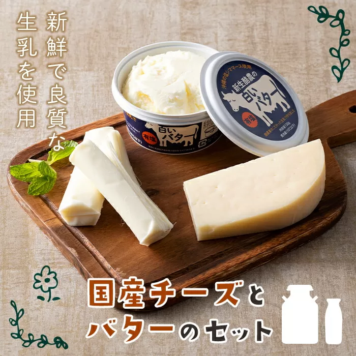 【新生酪農】房総のチーズ・白いバターギフトセット F21G-069
